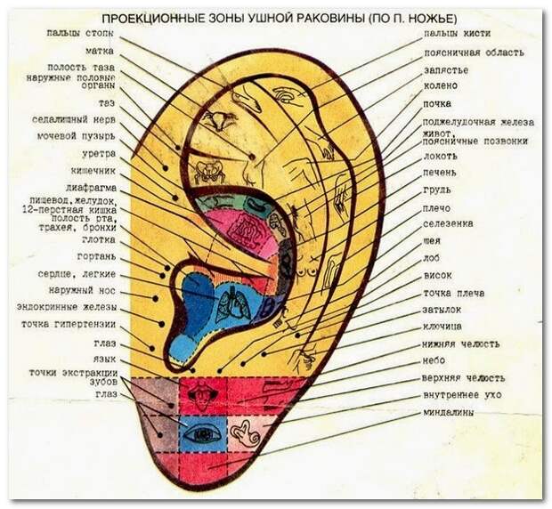 4003916_20141118_121943 (625x577, 624Kb)