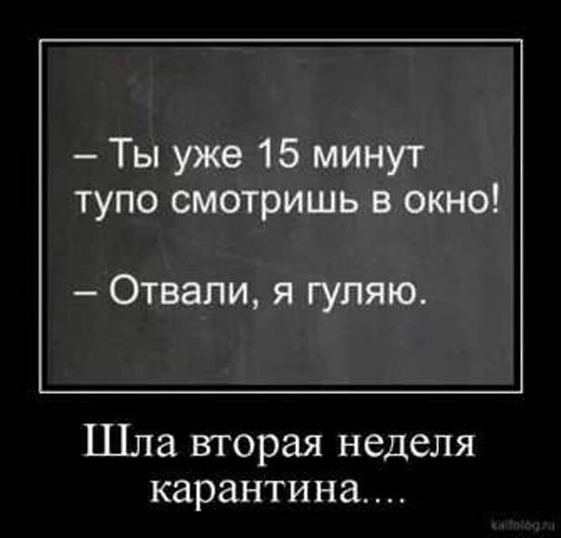 Демотиваторы про коронавирус с надписями. Подборка chert-poberi-dem-koronavirus-chert-poberi-dem-koronavirus-49310614122020-18 картинка chert-poberi-dem-koronavirus-49310614122020-18