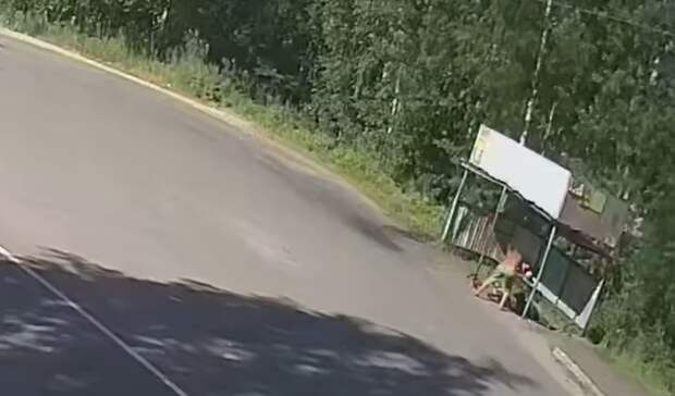 Жестокое избиение в дачном кооператив в Карелии попало на видео +18