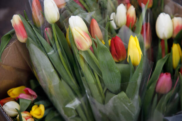 Врач рассказал, как выбрать безопасный букет на 8 Марта