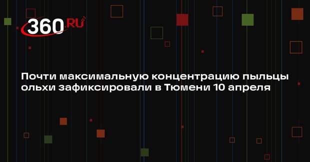 Почти максимальную концентрацию пыльцы ольхи зафиксировали в Тюмени 10 апреля