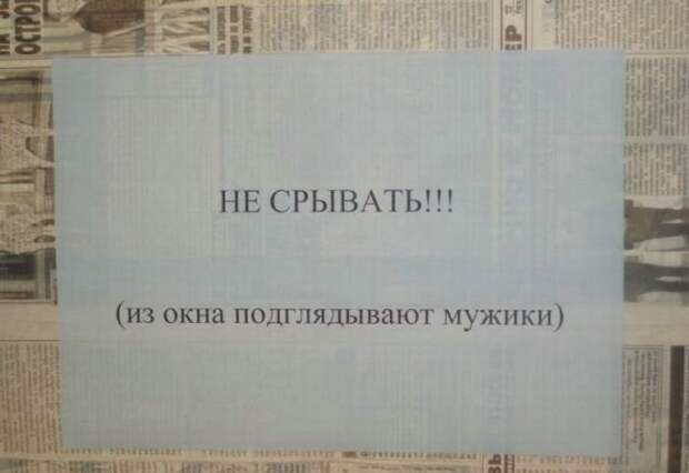 С легким паром или все о банях!
