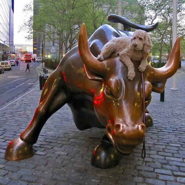 Мастер баланса