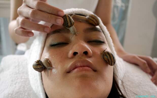 В тайской провинции Чианг Май возрастает популярность косметического массажа улитками.