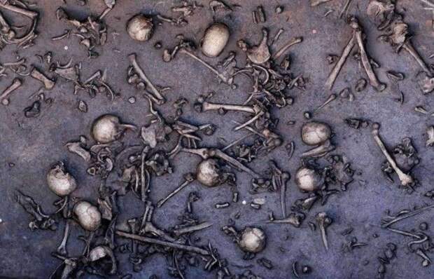 На берегах германской реки Толленс обнаружены важнейшие артефакты бронзового века
