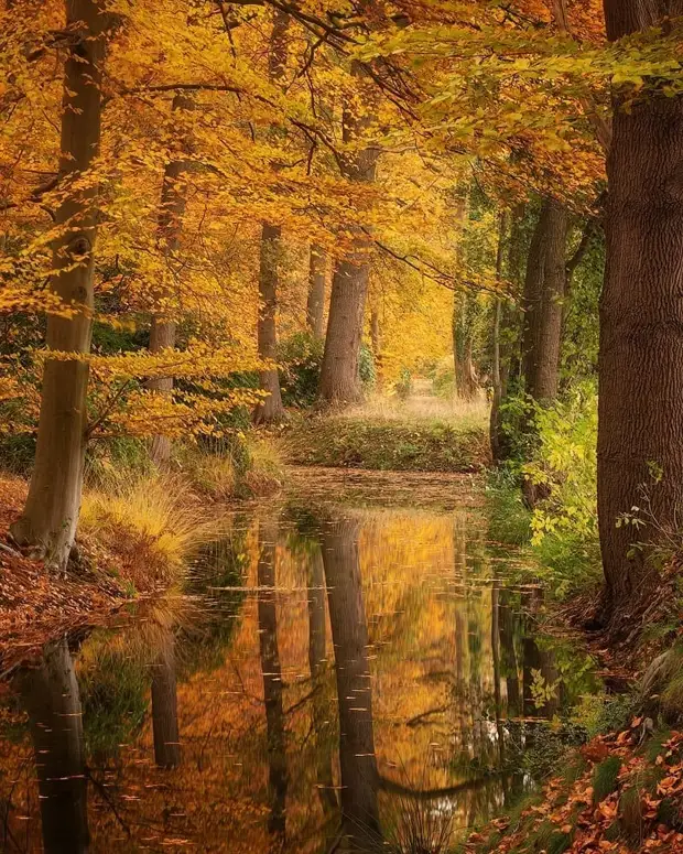 ��������� ����