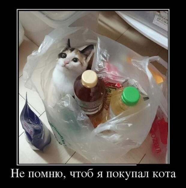 Демотиваторы (30 фото)