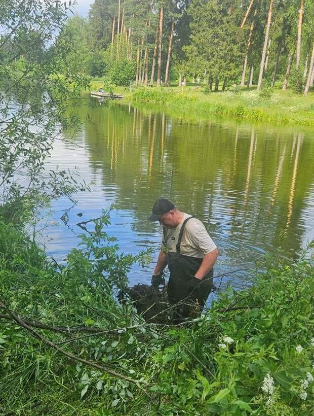 В подмосковном Пушкинском по программе «100 прудов и озёр» очищают русловый пруд на реке Серебрянка В подмосковном Пушкинском по программе «100 прудов и озёр» очищают русловый пруд на реке Серебрянка