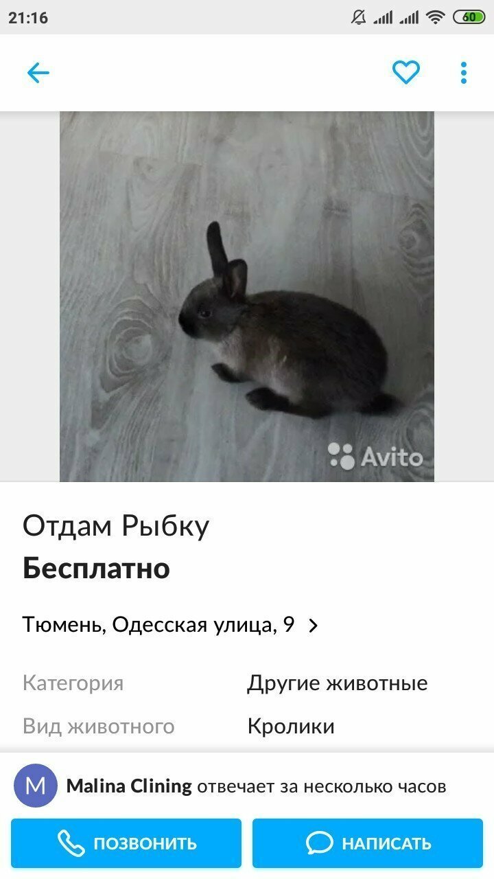 И даже бесплатно, все равно найдут на чем обмишулить И даже бесплатно, все равно найдут на чем обмишулить ложь, магазины, надувательство, обман, очковтирательство, юмор