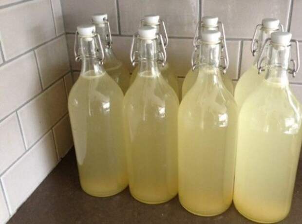 ginger-beer-prevents-cancer-cures-arthritis-stomach-600x446