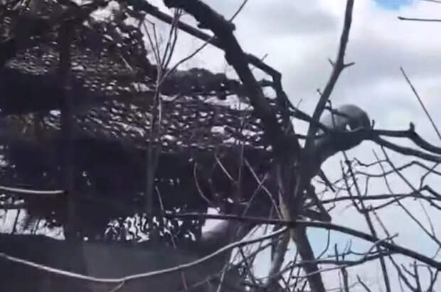 Руденко: в Запорожской области уничтожена сеть укрепленных опорников ВСУ