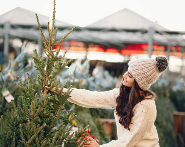 Ёлочные базары Новосибирска завершают сезон: каковы остатки и что будет с непроданными деревьями