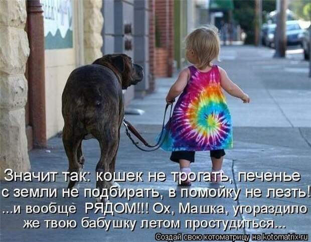 Котоматрицы великолепные, каждая с кусочком позитива и хорошего настроения!!!