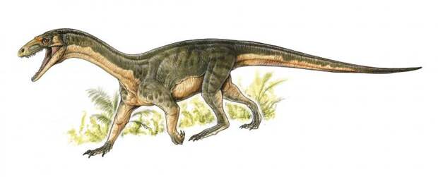 Палеонтологи нашли предка динозавров похожего на варана