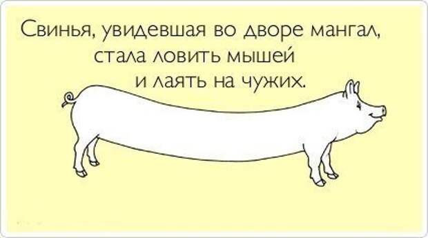Аткрыточки заказывали???!