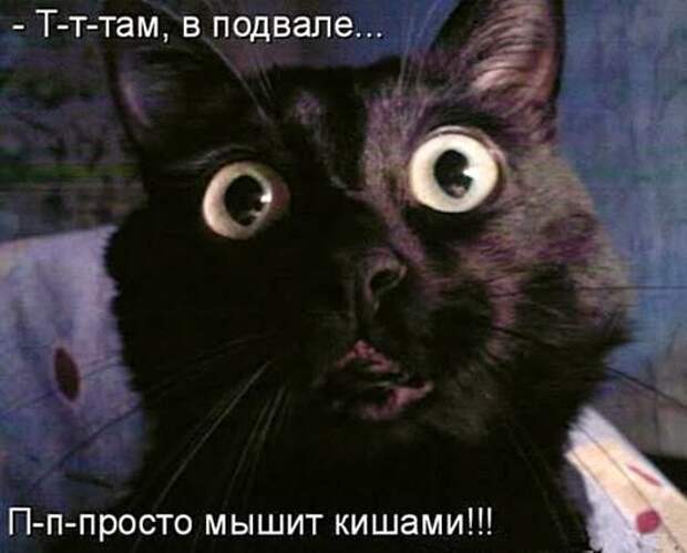 6228935b5185deba3f0ccdc51fa_prev