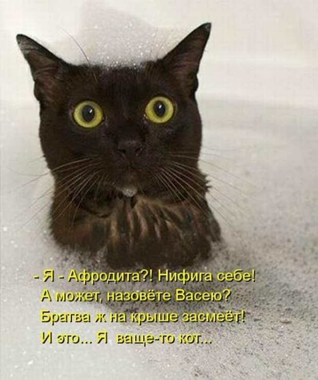 260af1d337fdfa9a927e613e540