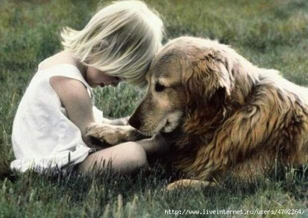 k-child-Childs-animals-friendship-nice_large (541x383, 141Kb)