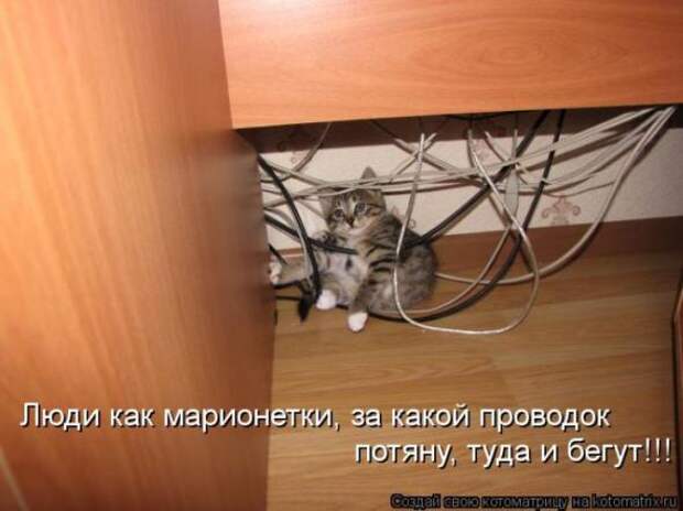 Котоматрицы (забавные картинки с надписями)
