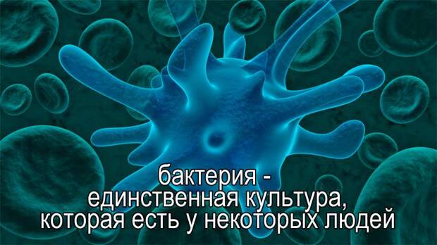 Картинки, приколы для юморозависимых (43 шт)