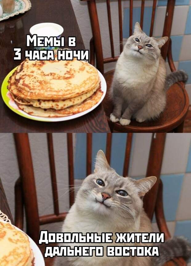 kartinok-interesnyh-prikolnyh-kartinki-smeshnye-kartinki-fotoprikoly