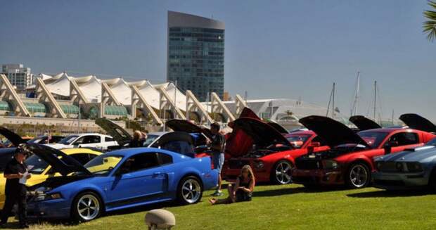 авто, ford, mustang
