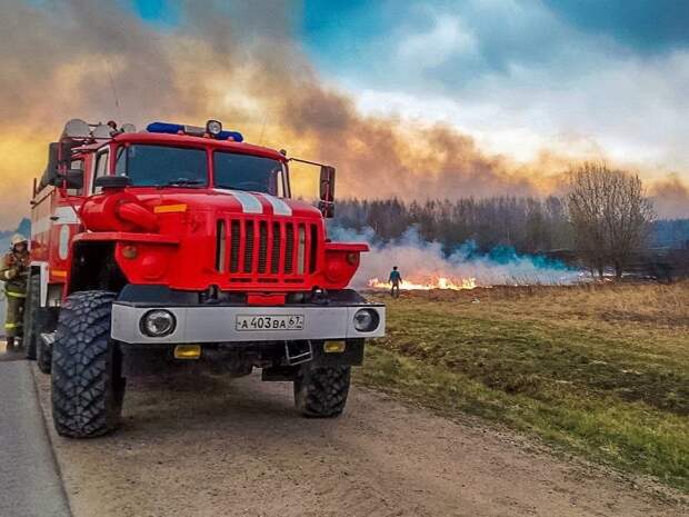 В областном центре пройдут рейды против палов травы