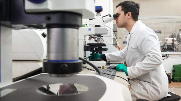 Российские ученые впервые в мире вывели "космических" мушек