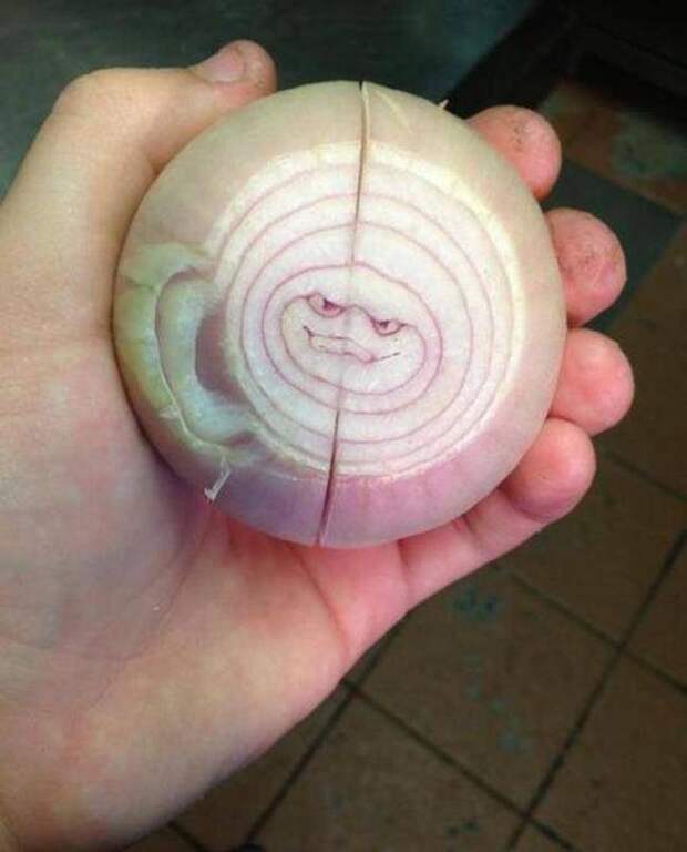 Забавная еда