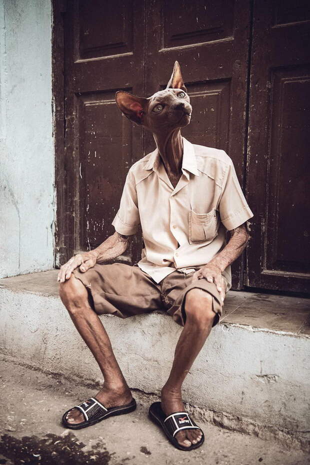 Люди с головами животных: проект Ahmad Habash