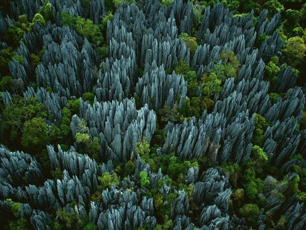 koshmary-nochnye-pohozhih-eto-interesno-poznavatelno-kartinki