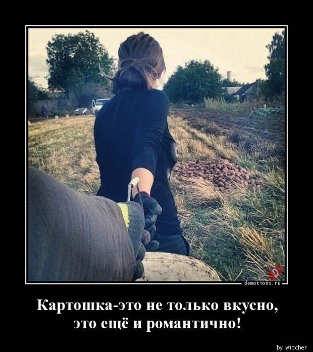 Демотиваторы демотиваторы, прикол, юмор