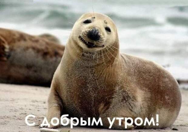 Улыбнись (28фото)