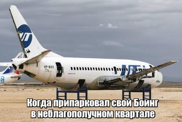 Подборка картинок
