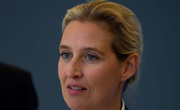 Вайдель: Германия должна вступить в переговоры с Россией о поставках газа