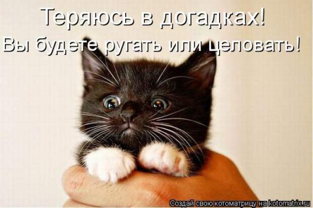 1359321481_96696241_large_2 (570x379, 53Kb)