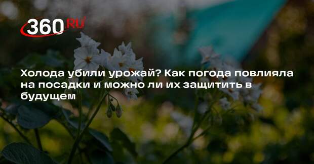 Председатель «Садоводов России» Туманов: апрельские холода не повлияют на урожай