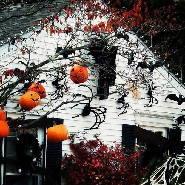 Как фанаты Хэллоуина украшают свои дома и лужайки: 30 гениальных идей декора