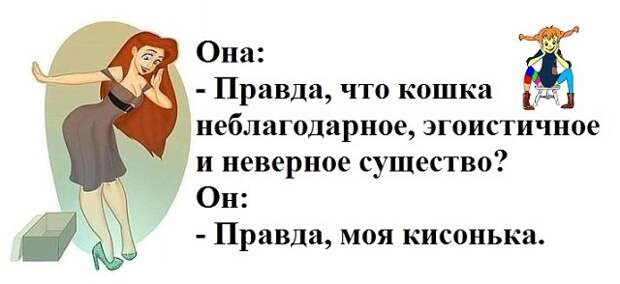 Планируя отпуск прошлым летом, уже предвкушал, как буду кутить и отрываться...