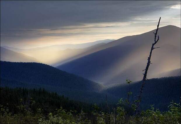 Красота Сибири (44 фото) Красота Сибири (44 фото)
