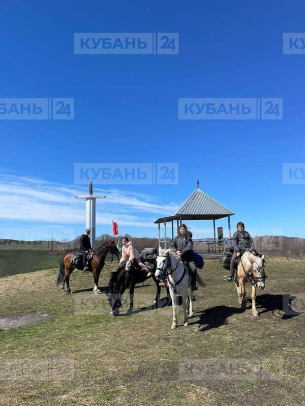 Конокрады на Кубани увели лошадей, на которых катали детей-инвалидов