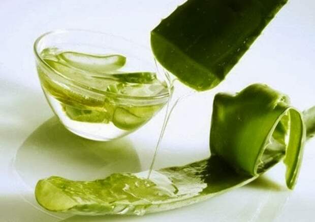 aloevera2