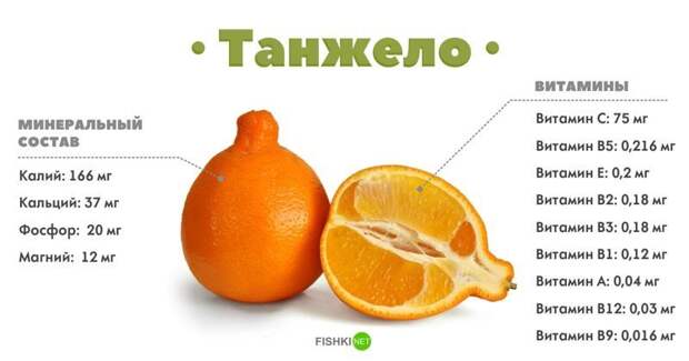 Танжело Танжело апельсины, витамины, лайм, лимоны, минеральные вещества, полезности, помело, цитрусовые