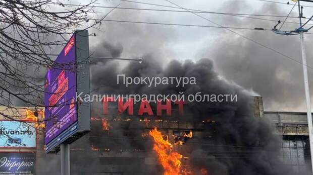 Baza: пожар в калининградском ТЦ ГИАНТ начался с припаркованной рядом машины