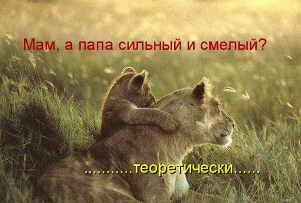 Забавности с надписями