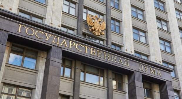 Отдельных депутатов Госдумы РФ проверят на предмет двойного гражданства