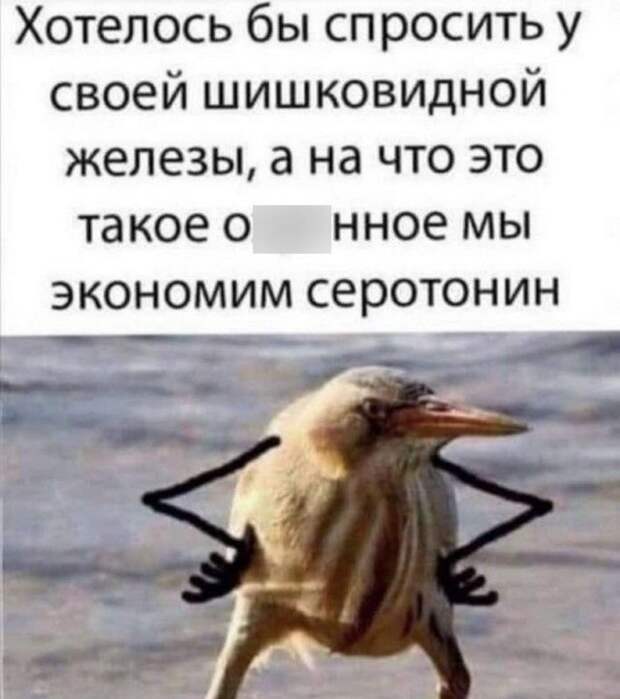 Лучшие шутки и мемы из Сети