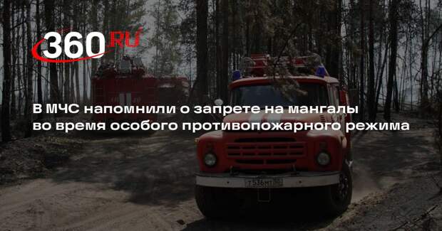 МЧС: при особом противопожарном режиме запрещены мангалы и открытый огонь