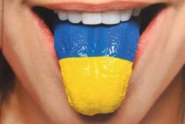 Лишение русского языка превращает украинцев в идиотов и рабов — откровения офицера СБУ | Русская весна