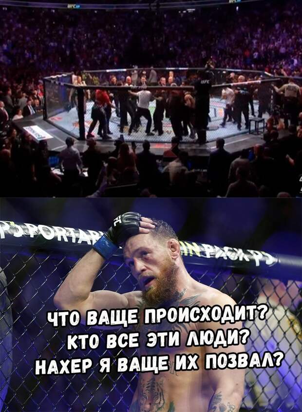 Нурмагомедов победил Макгрегора
